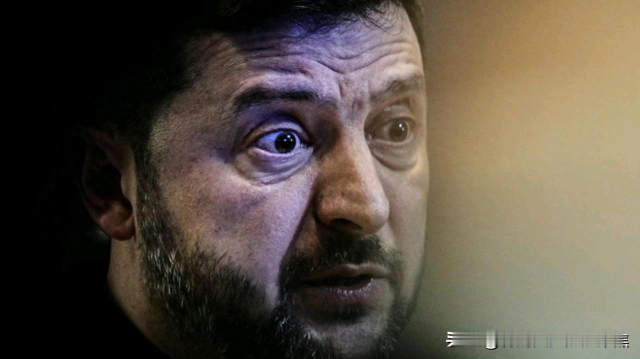 意大利议员萨索的“种瓜得瓜”论，精准刺穿了泽连斯基与欧洲盟友间那道日益扩大的裂痕