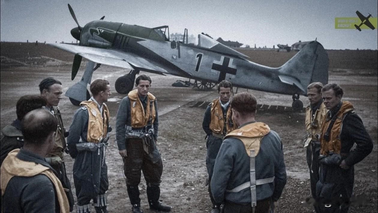图为一群德国空军飞行员在一架Fw 190战斗机前的合影。

Fw 190是二战中