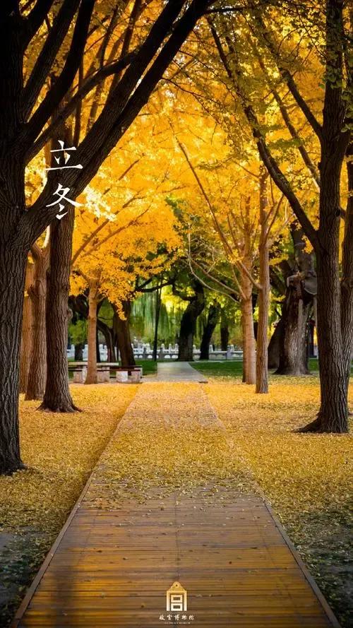 立冬时节寒意浓，霜降叶落满山红。
天边雁字斜阳外，陌上人稀暮霭时。
炉火微红温旧