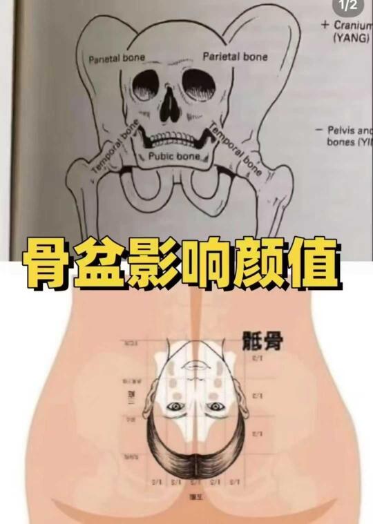 骨盆好不好居然影响颜值！！！