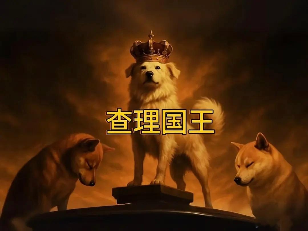 查理国王 最近在国外有个火起来的小视频，看了有点感慨。（介绍来自网络）谁能想到一