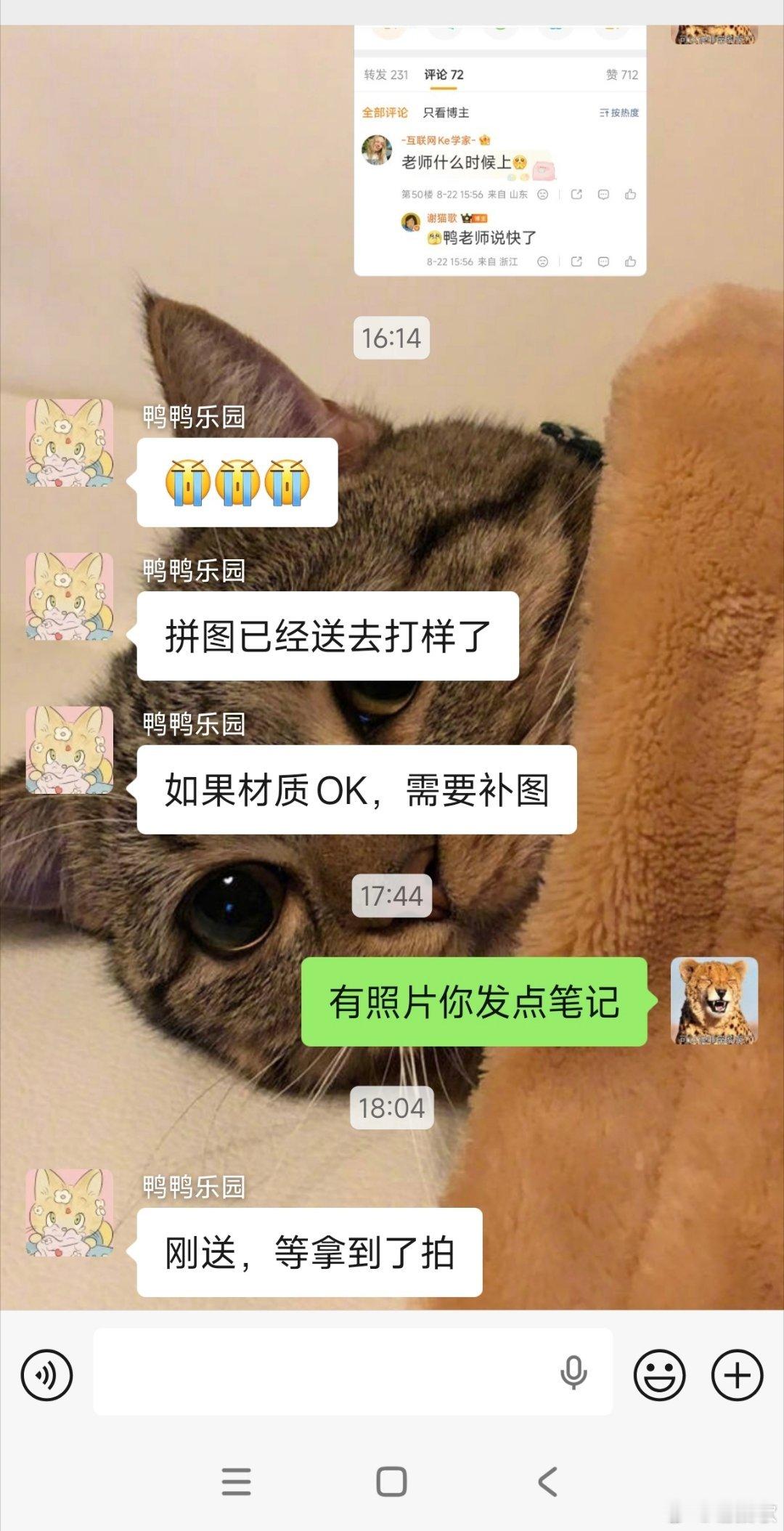 谁帮我催一下做兆制品的鸭老师