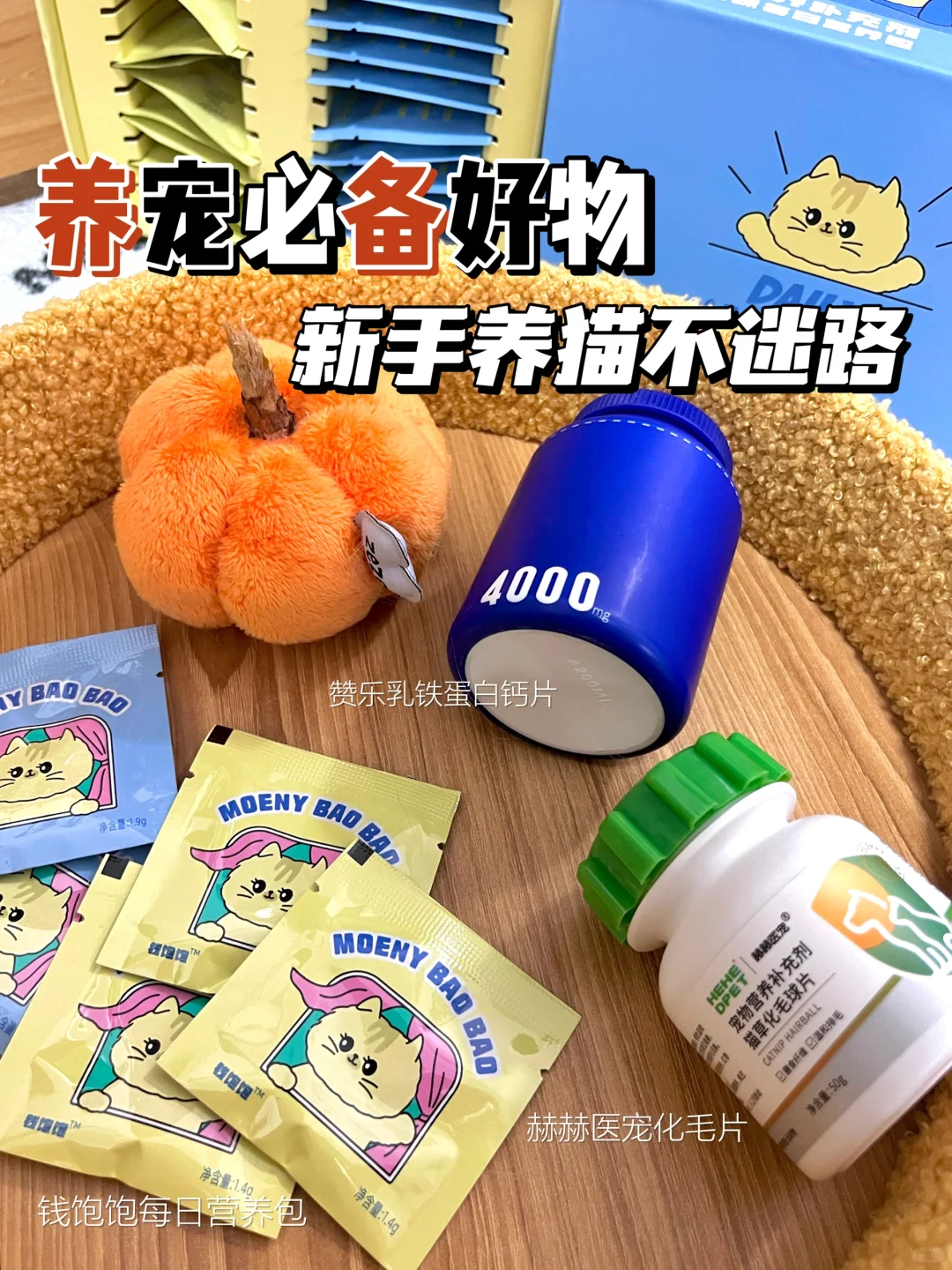 猫咪营养补充分享篇｜健康成长少不了✨