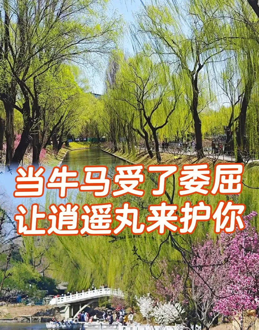 今日盘点逍遥丸家族的那些各显神通……