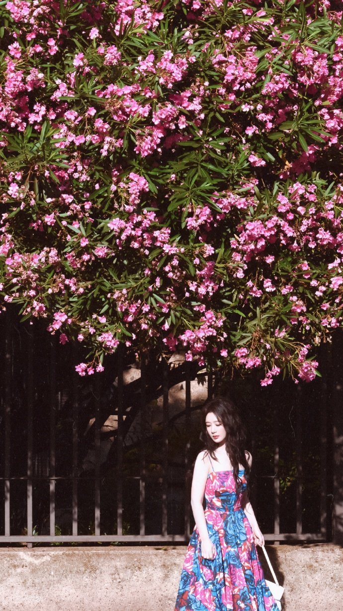 杨紫玉兰花开君再来 💜杨紫董竹君 每一段无法继续的爱情，都有负责保存它的人，才