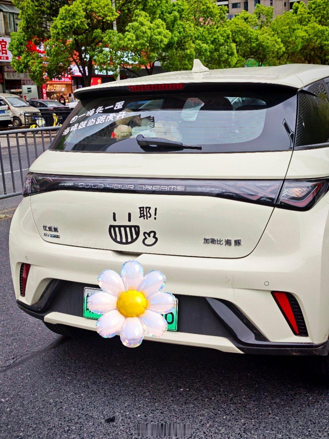 比亚迪海豚这名字本来人畜无害，加成加勒比海豚一看就不是好惹的了