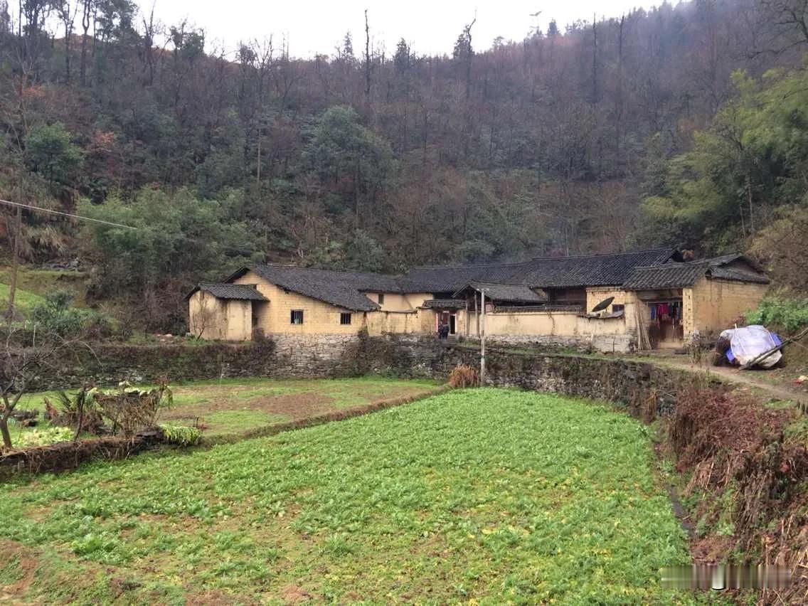 鹧鸪天.重读《七言诗.续《梁甫吟》》有怀
（2025年3月24日）
酒胆诗魂贯九