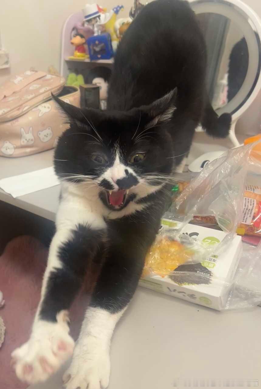 49486【丑猫】丑猫的身材很曼妙 