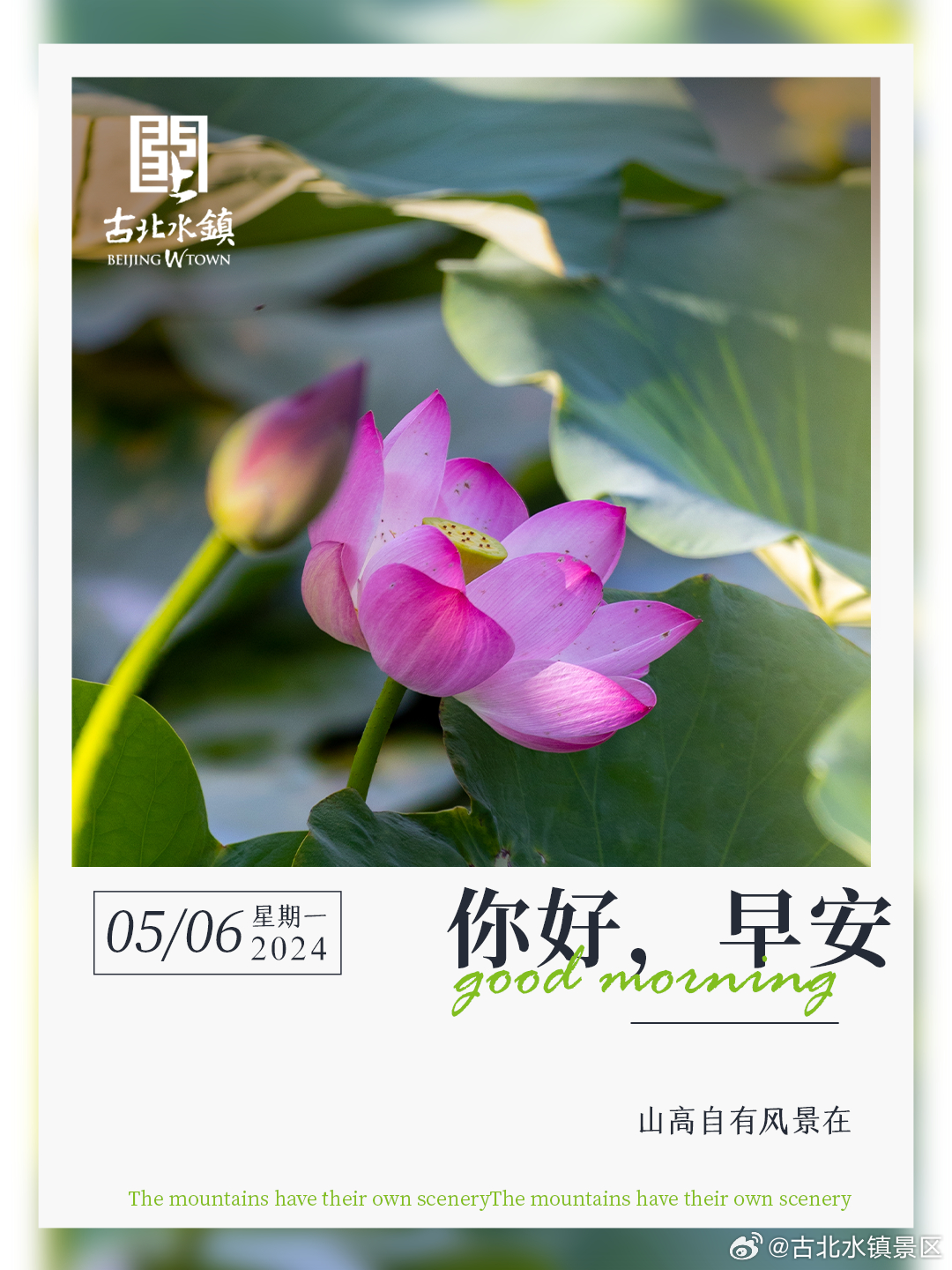 山高自有风景在早安，宝子们~#长城下的鸣桡小镇# #春日cityhappy计划#