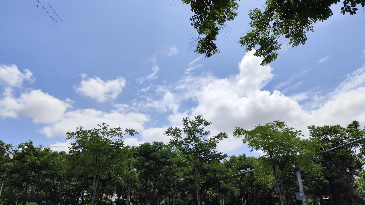 人这一生有什么东西永远属于自己大千世界人的一生是短暂的，活时有属于自己的很多东西