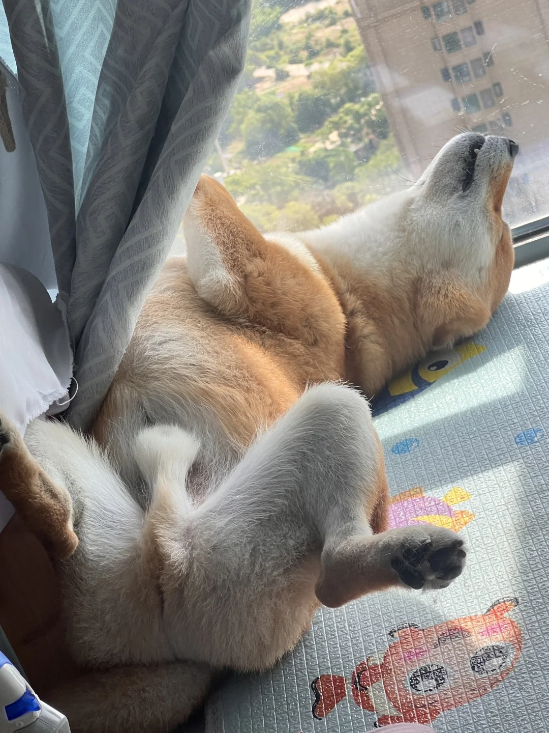 四仰八叉