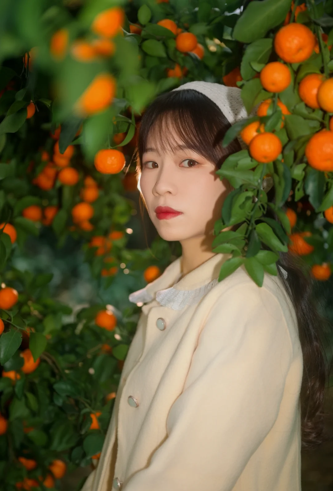 在柑橘树下拍到了人生照片🍊