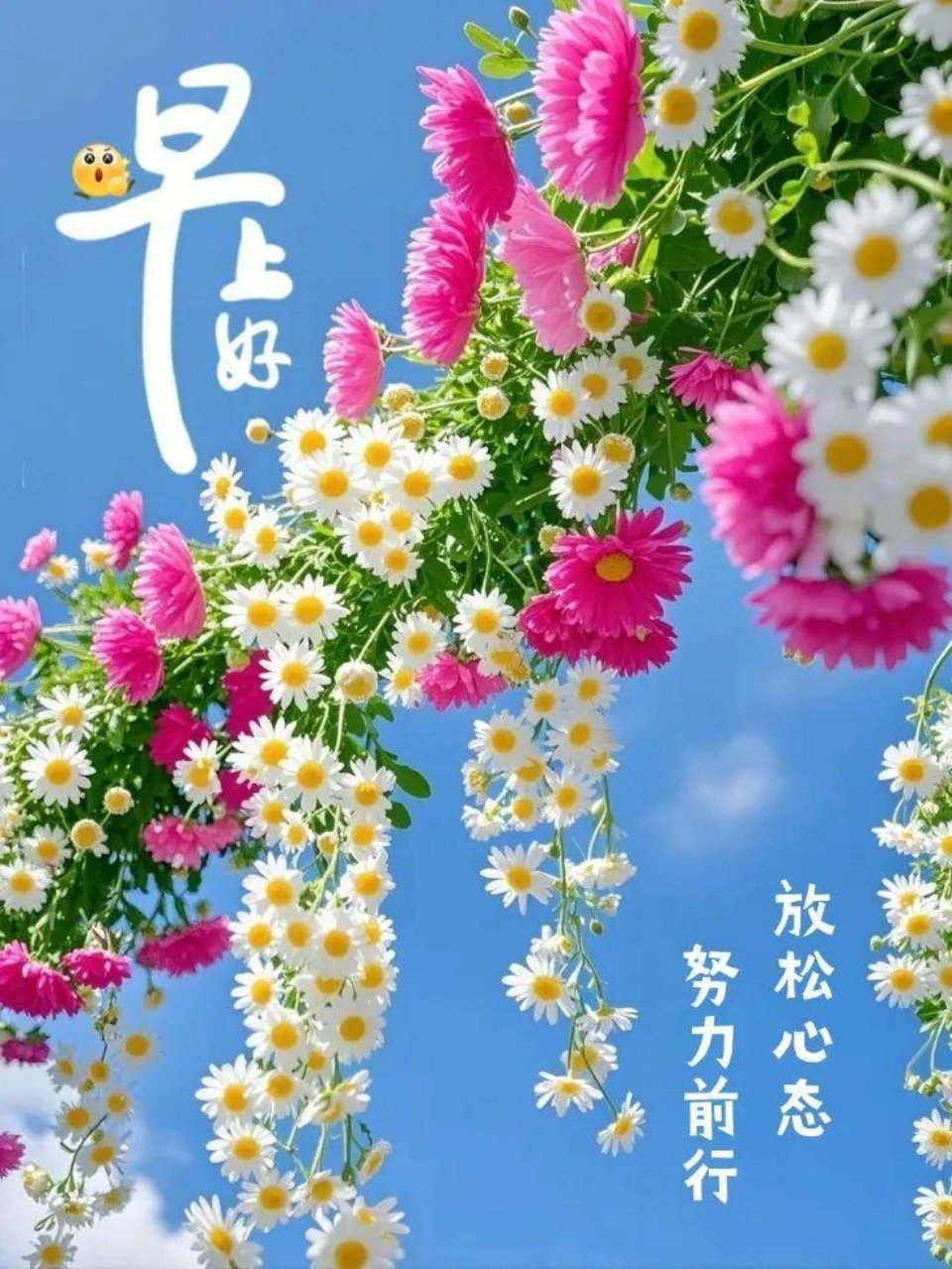 早安[超话]每个清晨都是一个新的开始，抛开昨日的忧虑，今天让自己做最好的自己。微