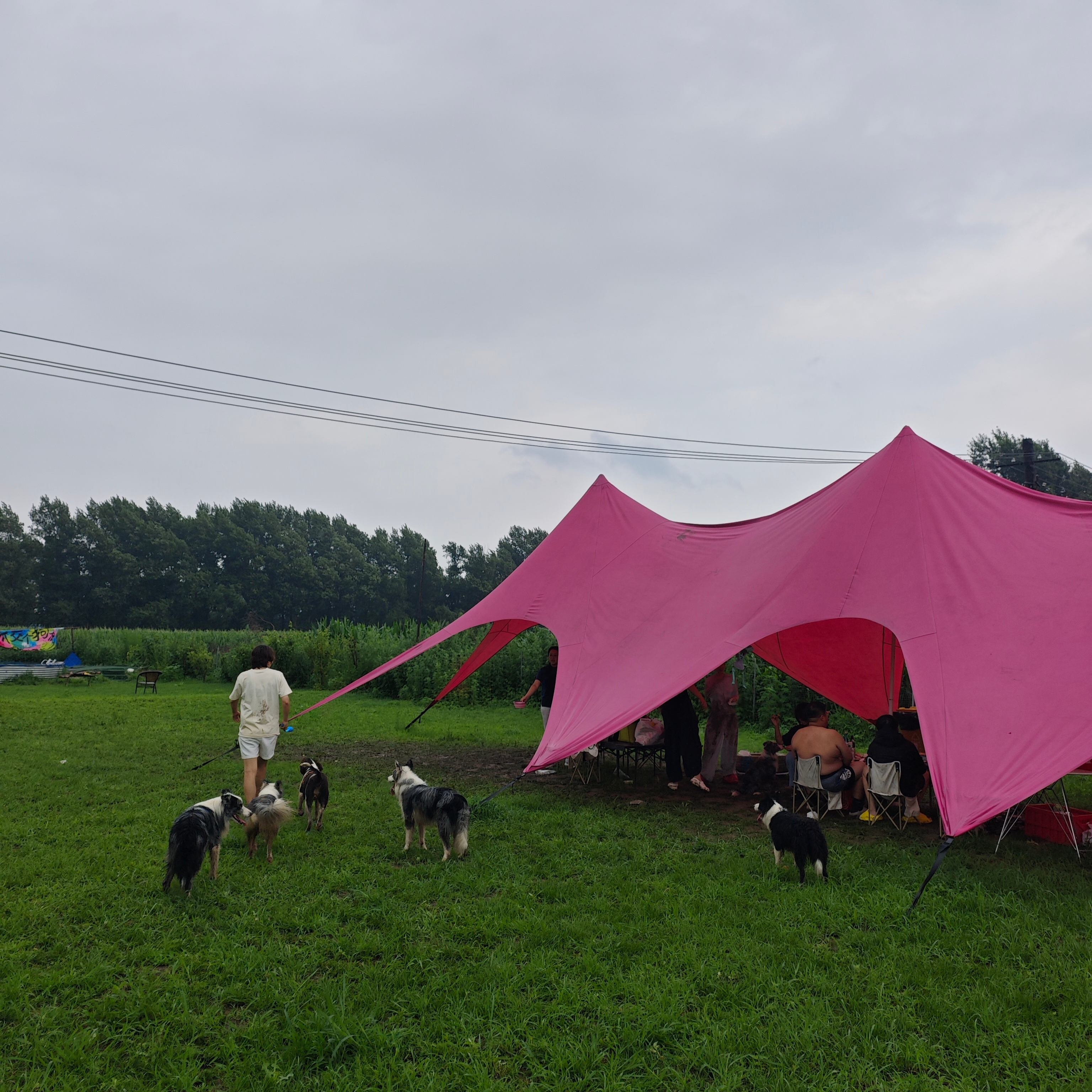 带宝宝露营中 ⛺️ （所以没更新） 