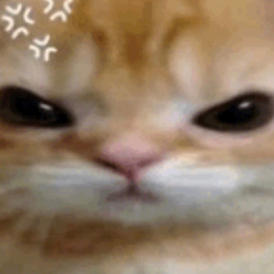 你们成年人在外头做过唯一不尴尬的事就是跟在猫咪后头喵喵叫 ​​​