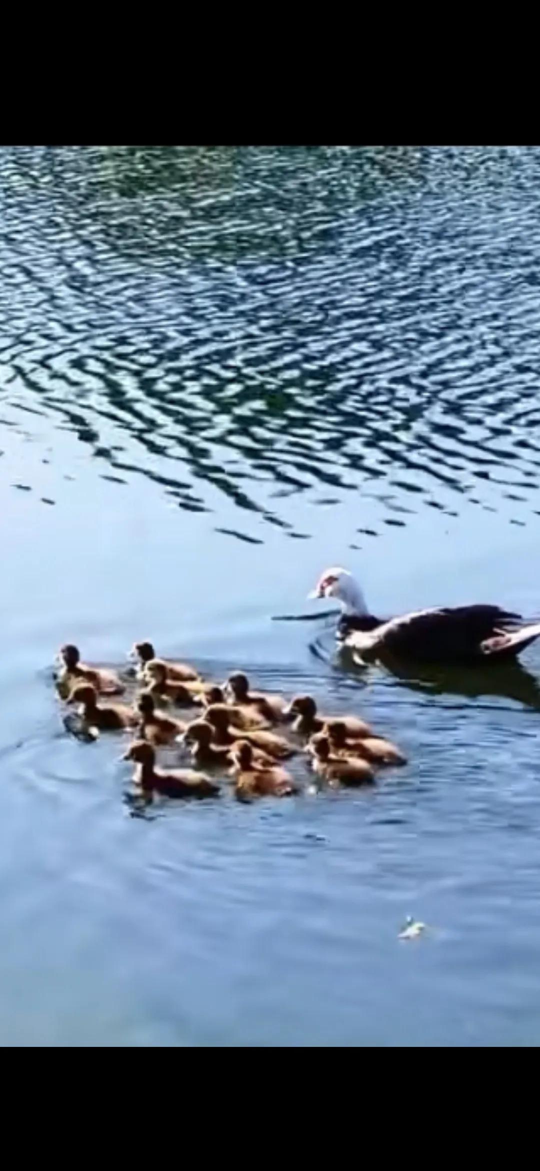 分享一张自然风景的照片，