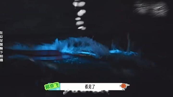 刘宇宁看到蓝眼泪的反应刘宇宁说晚上的海有怪物 别人看蓝眼泪是浪漫，刘宇宁看蓝眼泪
