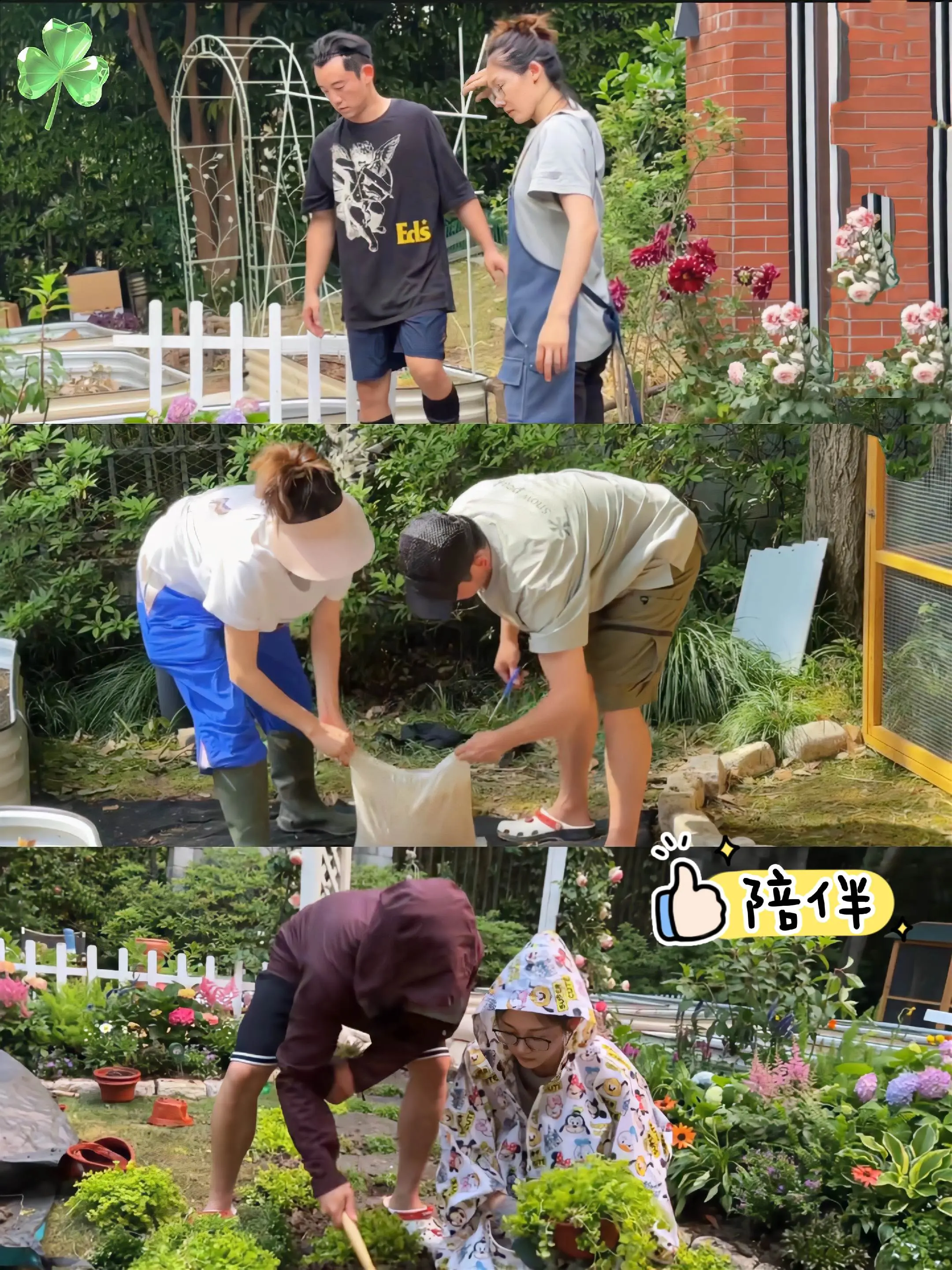 郑恺真是靠谱的好老公呀！陪苗苗打造她理想中的菜园，夫妻俩互相成就，新搬...