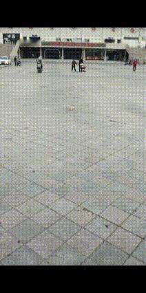 一大叔养了一只小喵咪，取名为小金豆。大叔教了小猫一些简单的技能，没想到小金豆全都