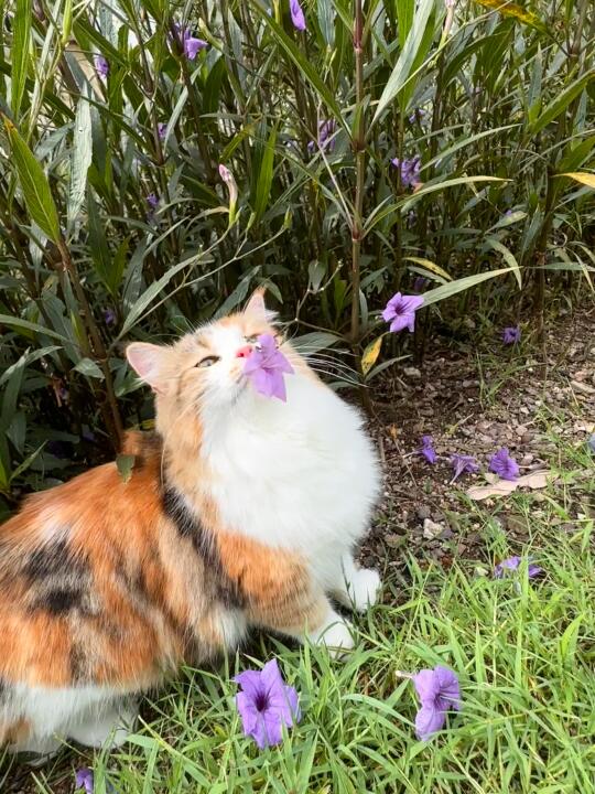 人，春天了应该去看看花