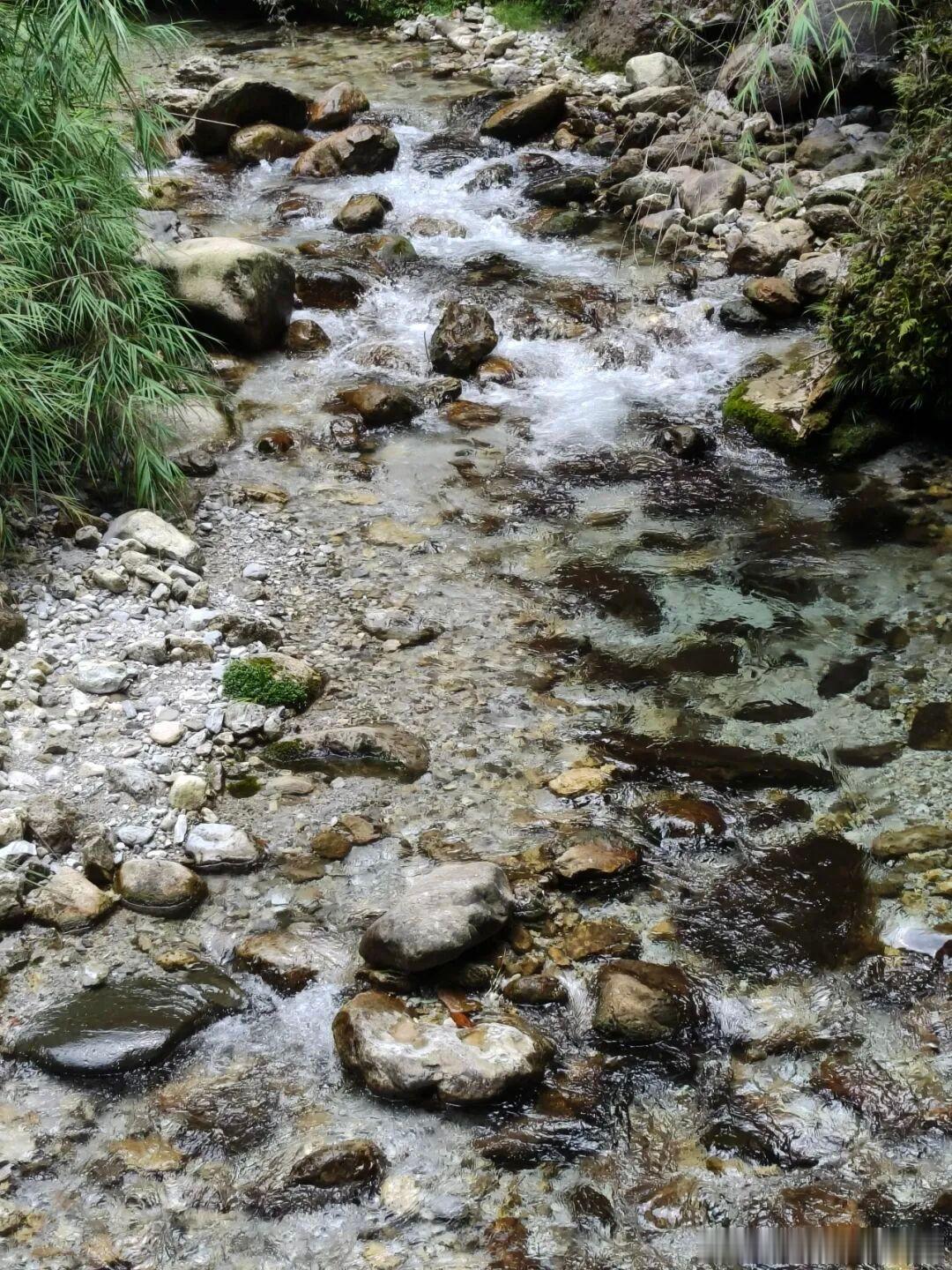 圣水阁如其名，满是清灵圣洁的气息，门前翠竹成片、流水潺潺，清风掠过竹林，竹叶轻响