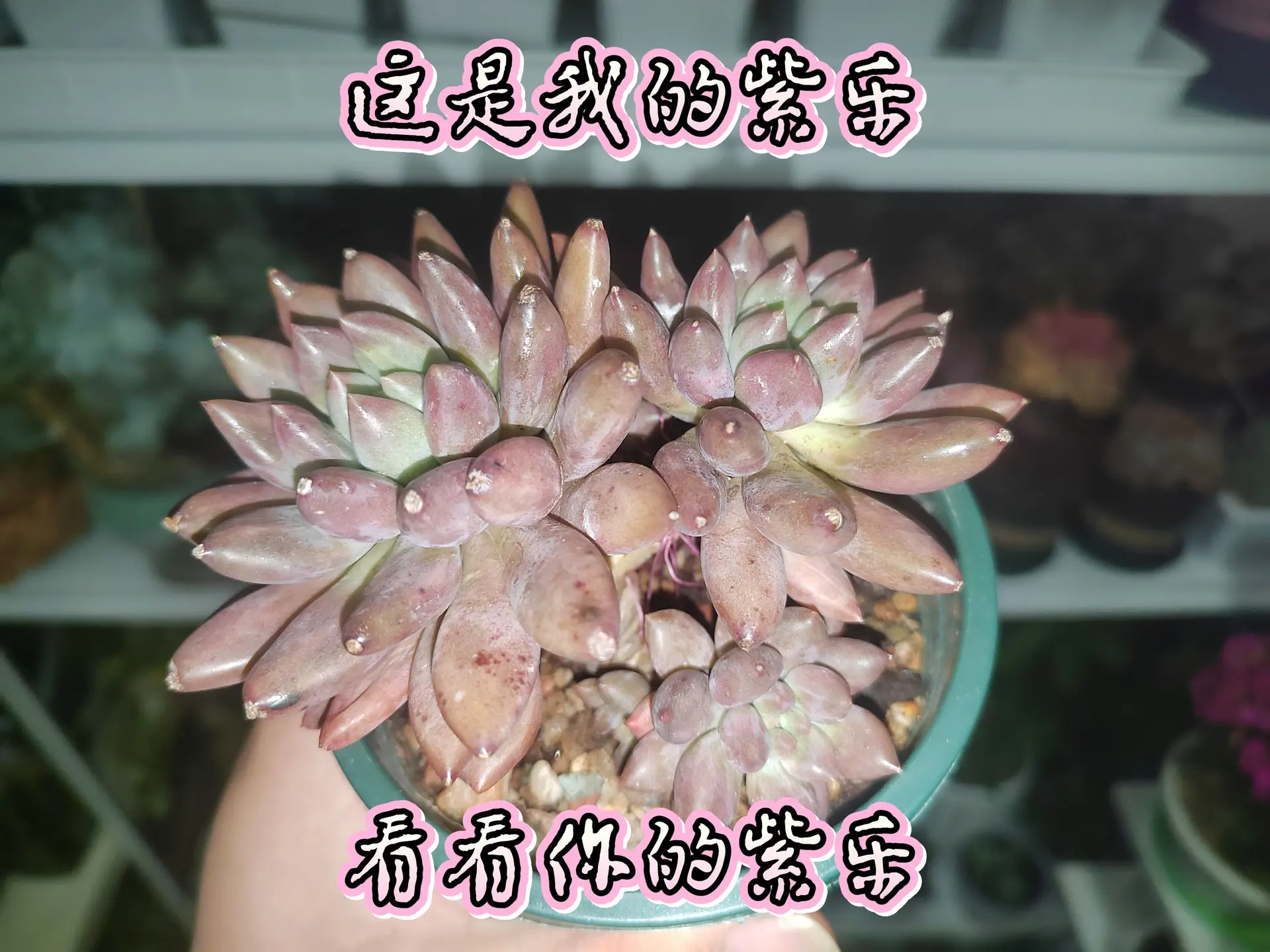 顺风顺水，心想事成😆😆，渴望投喂！