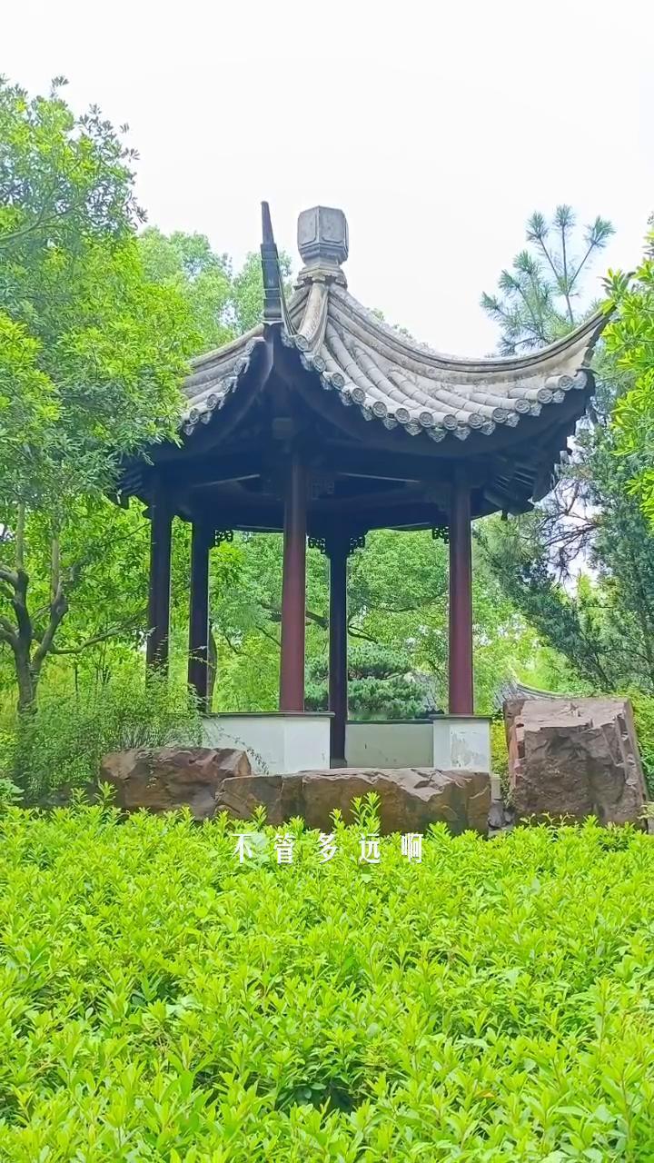 曾千百次路过，半山腰摘几朵，便飘向歌颂者。那份简单离开后，就再也没见过。单程票的