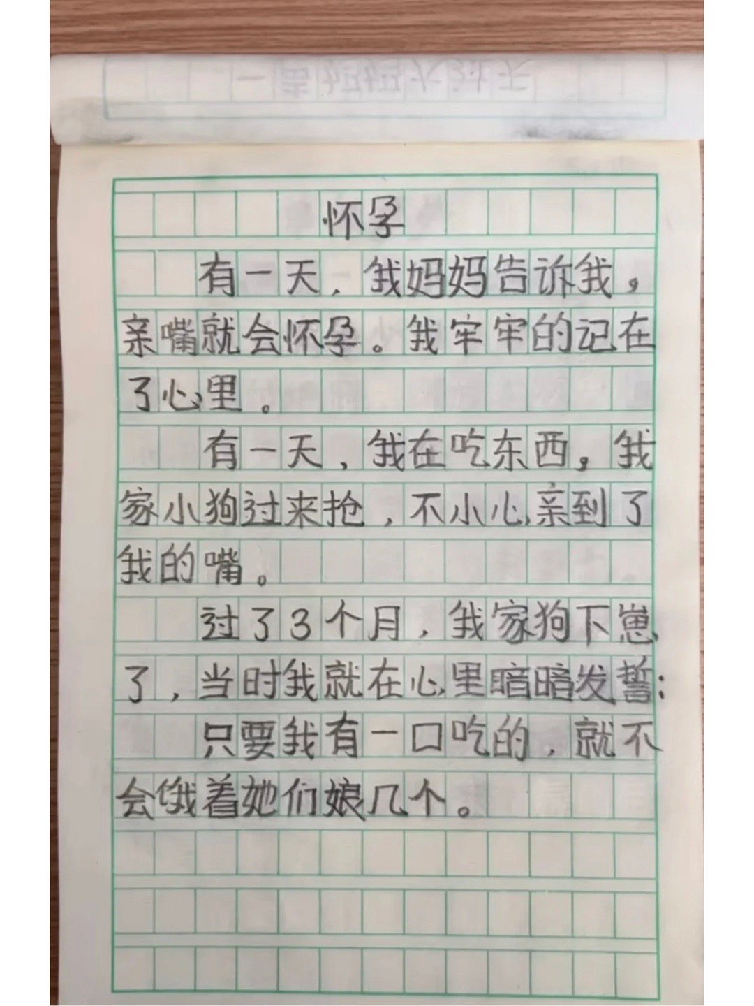 熊孩子作文 ​​​