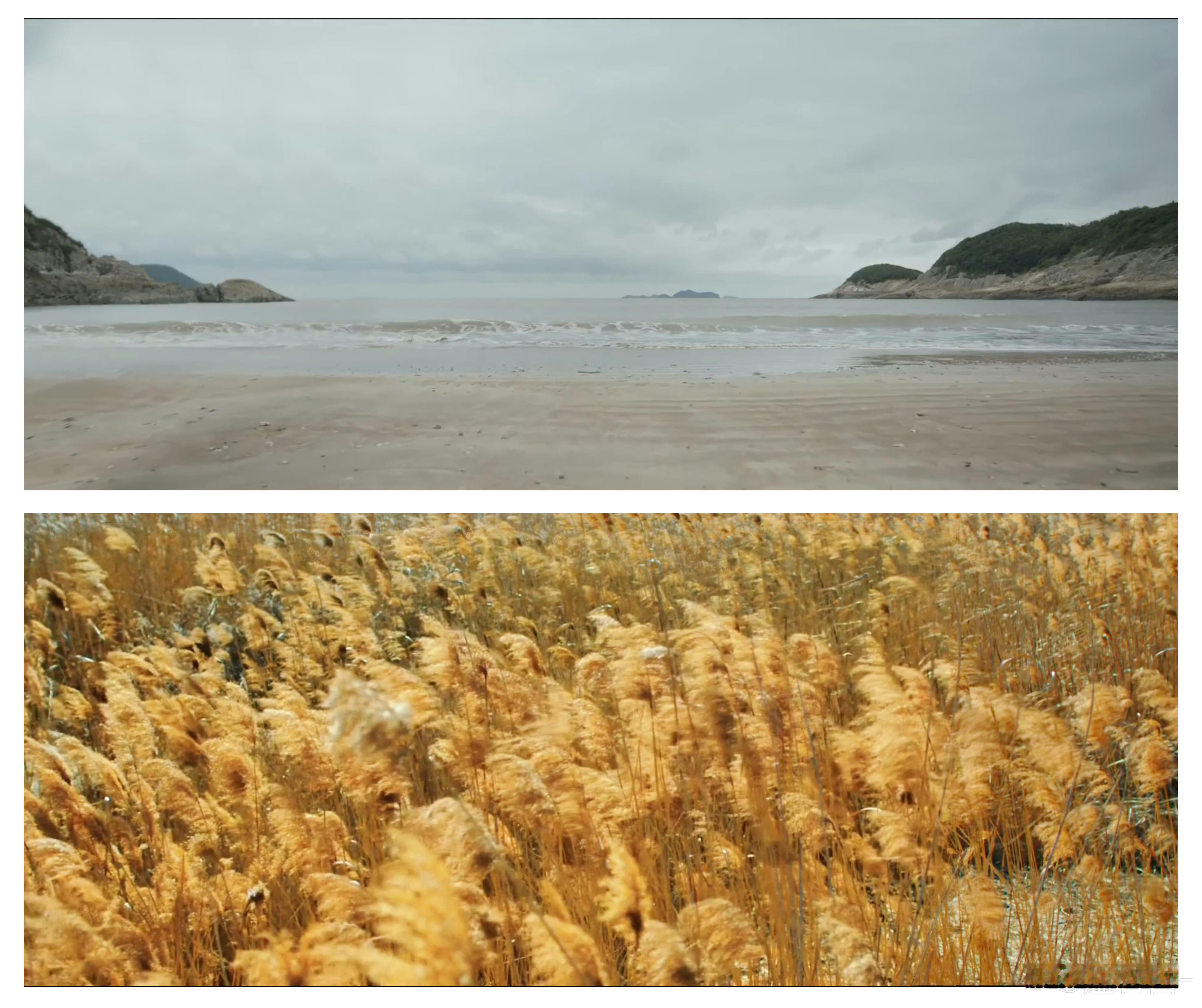 2023年因《莲花楼》李莲花困于东海，2025年因《长安二十四计》谢淮安，走不出