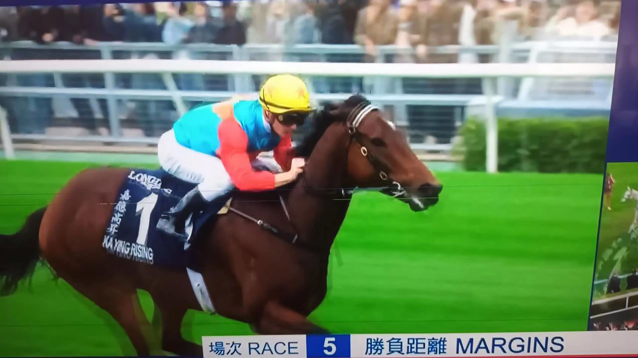 一年一度的世界赛马盛事今午在香港沙田马场顺利举行。四场国际一级赛总奖金高达1.3