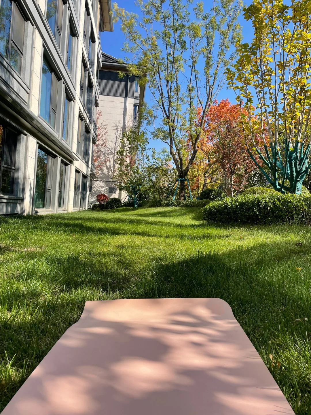 运动锻炼四肢 冥想锻炼大脑