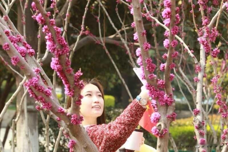 《春分》乐韵诗心原创诗词:
水暖风和气温升，
堤岸瘦柳即成荫。
万物复苏添绿意，