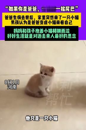河南一名男孩的父亲去世后，晚上他做了一个梦，梦见父亲变成了一只猫，第二天，家里竟