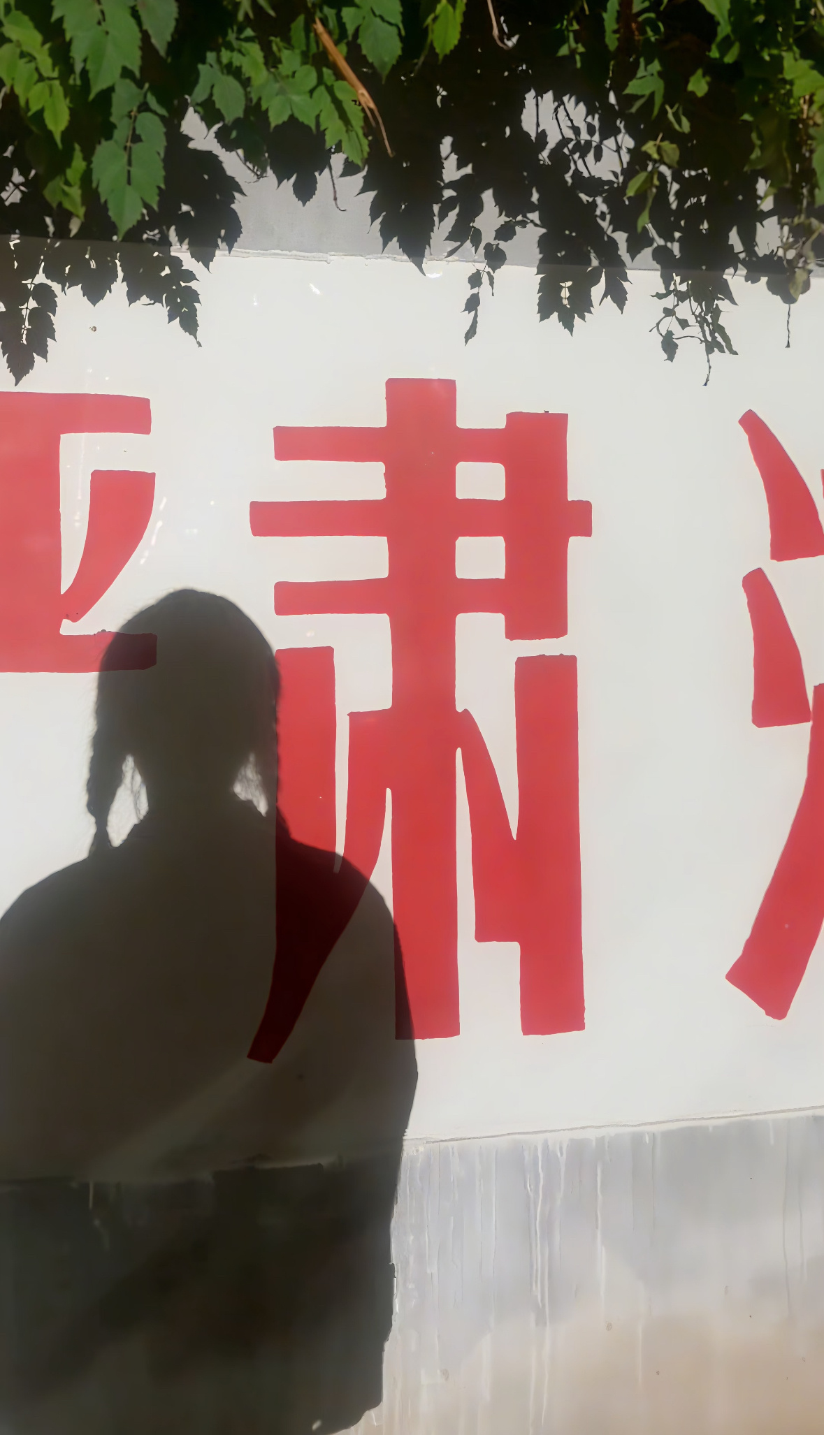 这个剪影美我一跳…爱上刘浩存也是人之常情