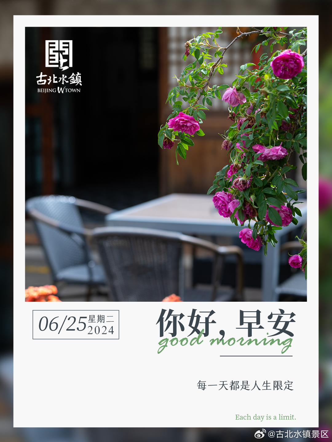 每一天都是人生限定早安，宝子们~ #很高兴在古北水镇认识你# #古北水镇# #古