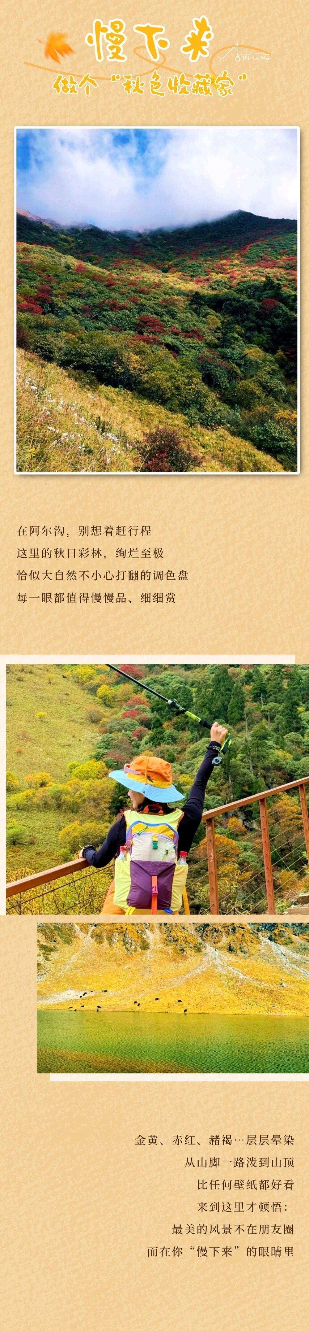 山河壮阔，秋日正好
别再把“等有空”挂在嘴边
工作的尽头看不见
阿尔沟的秋色却有