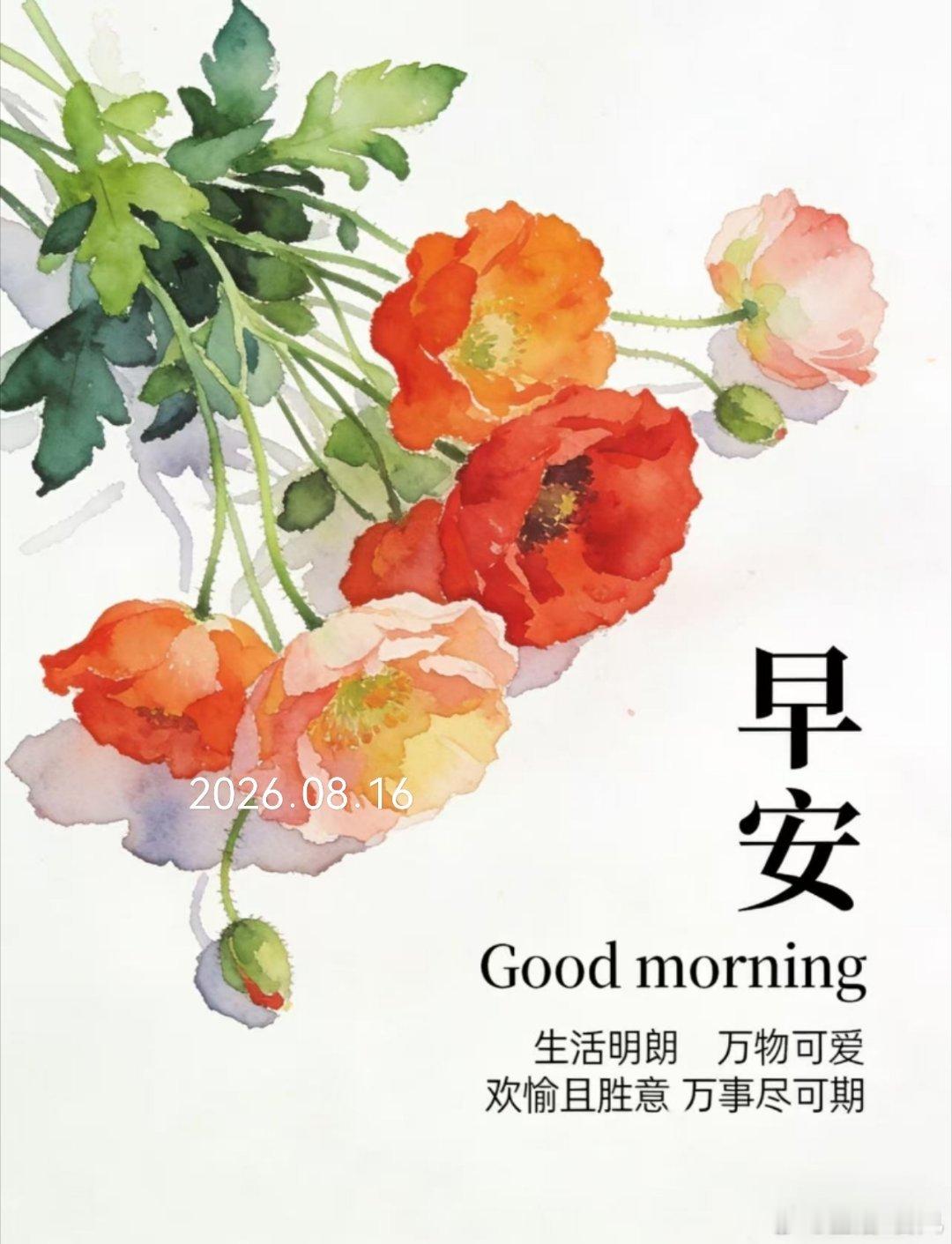 周日早安呀，终于可以慢悠悠醒来，不用赶时间啦 北京