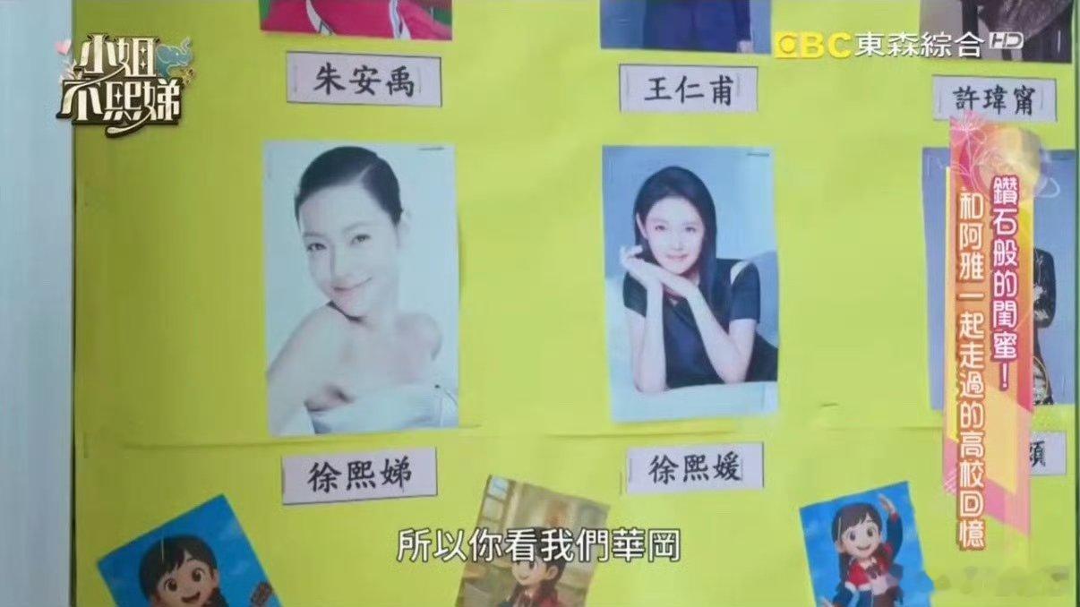 大小S杰出校友照大S小S杰出校友照大S小S杰出校友照，她们是华冈的骄傲，也是我们
