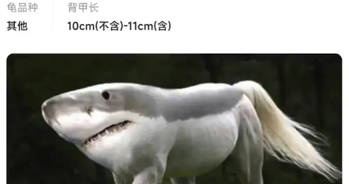 “哈士熊猫”“纯正阿凡达”？二手交易平台频现天价奇葩商品，客服：不要买，免得心里不