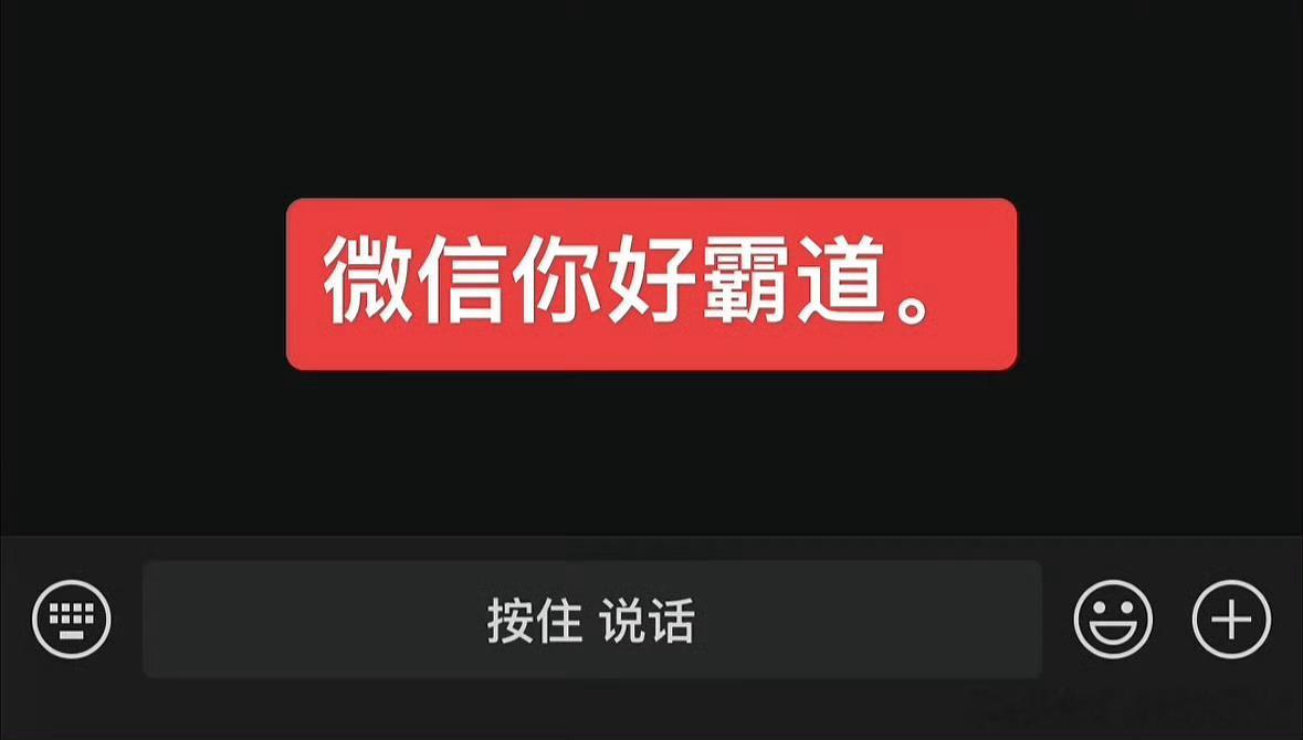 按住 说话 