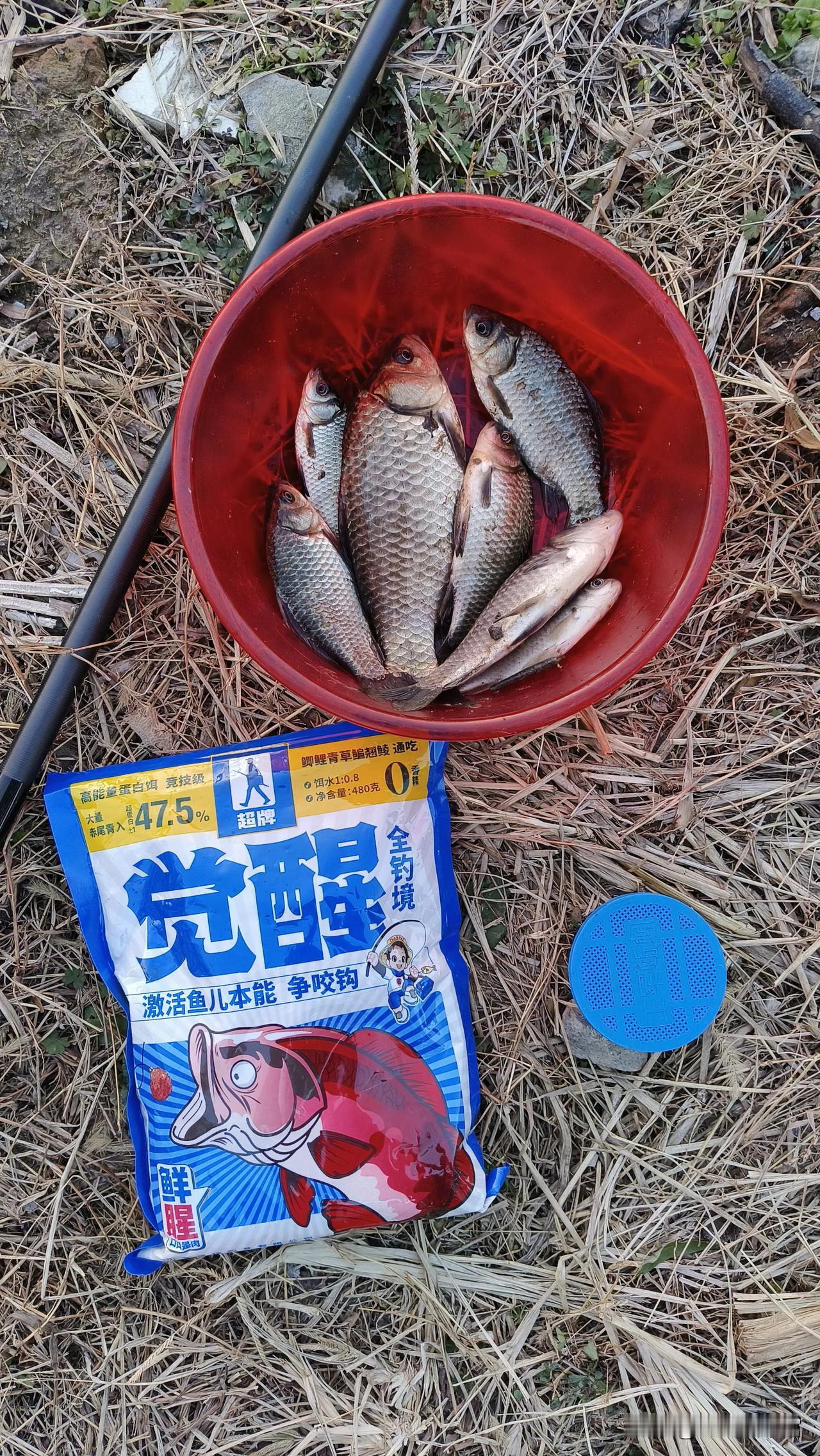 钓鱼人的2025年，必须要用爆护来开新年，提前祝各位钓友们新年快乐，大鲫大鲤？