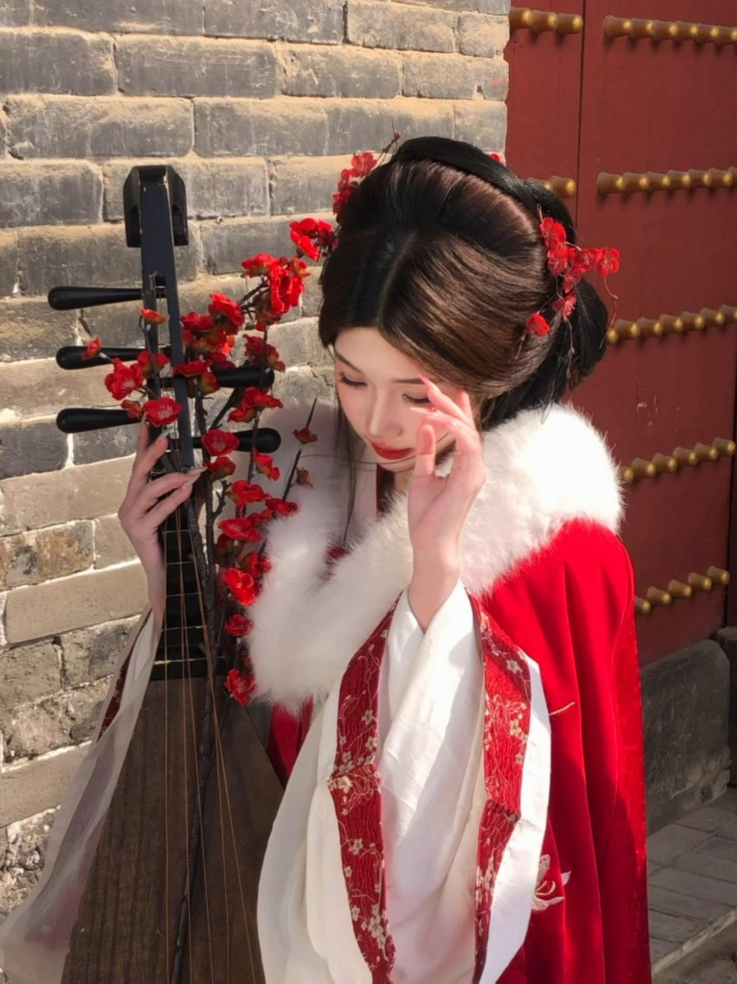 “何时仗尔看南雪 我与梅花两白头”