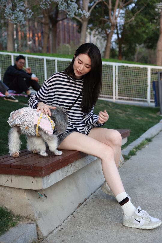 🐕་་ 小狗日记📔