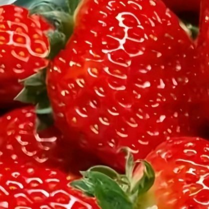 草莓种植种植  1. 栽种时间大部分地区最佳种植时间：10–12月新手推荐品种：