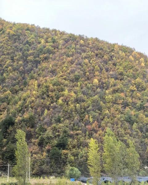 今天又是美好的一天
放下手机走出家门10.22。老公生日计划去黄柏塬，终于到月底