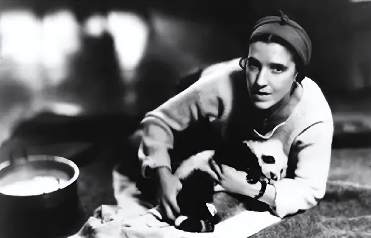 [微风]“这只是条哈巴狗！”1936年，一美国女子在中国海关被盘查时，将偷来的熊