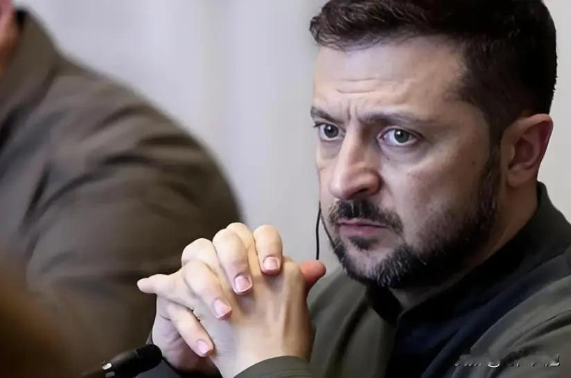 最终还是跪了！在当地时间12月14日，乌克兰总统泽连斯基在柏林会晤美国特使时表示