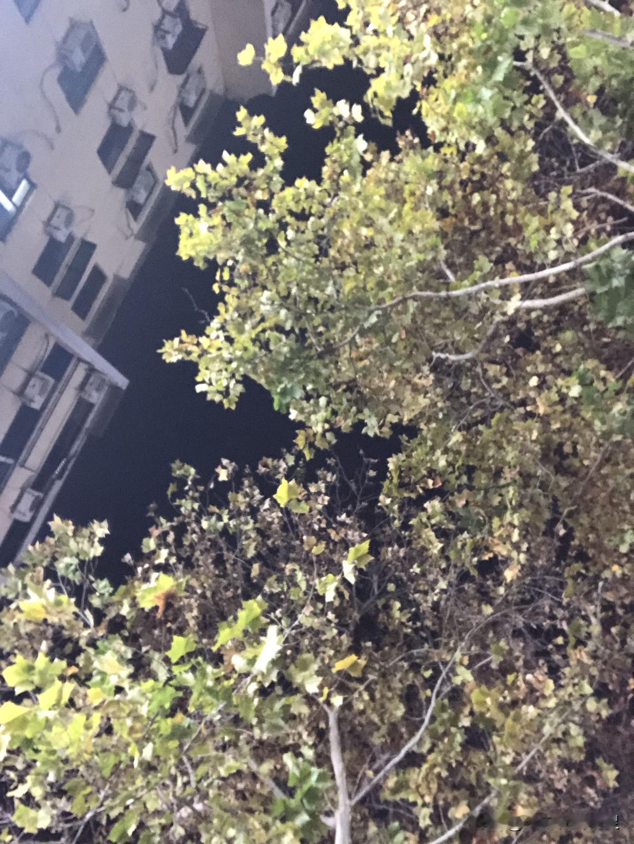 晒图笔记大赛冷了冷了，真的冷了，明天可能真的会雨夹雪呀，你们那里啥天气呀？有没有