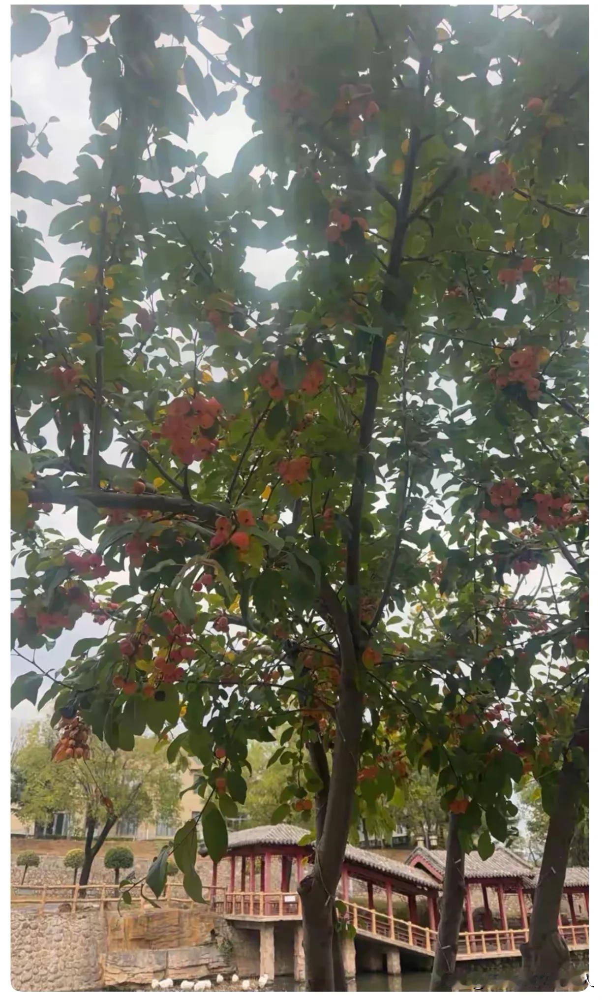 昨晚八点多，我先生突然接到老同学电话，对方张口就说："出来聚聚呗，顺路带两瓶好酒