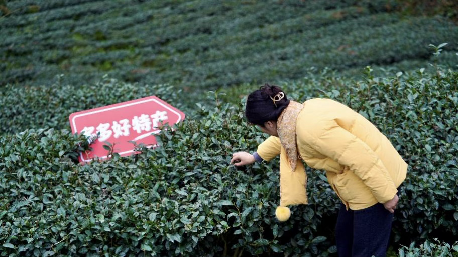 拼多多发布Q1财报，新拼姆业务稳步推进，全方位赋能供应链迈向品牌化